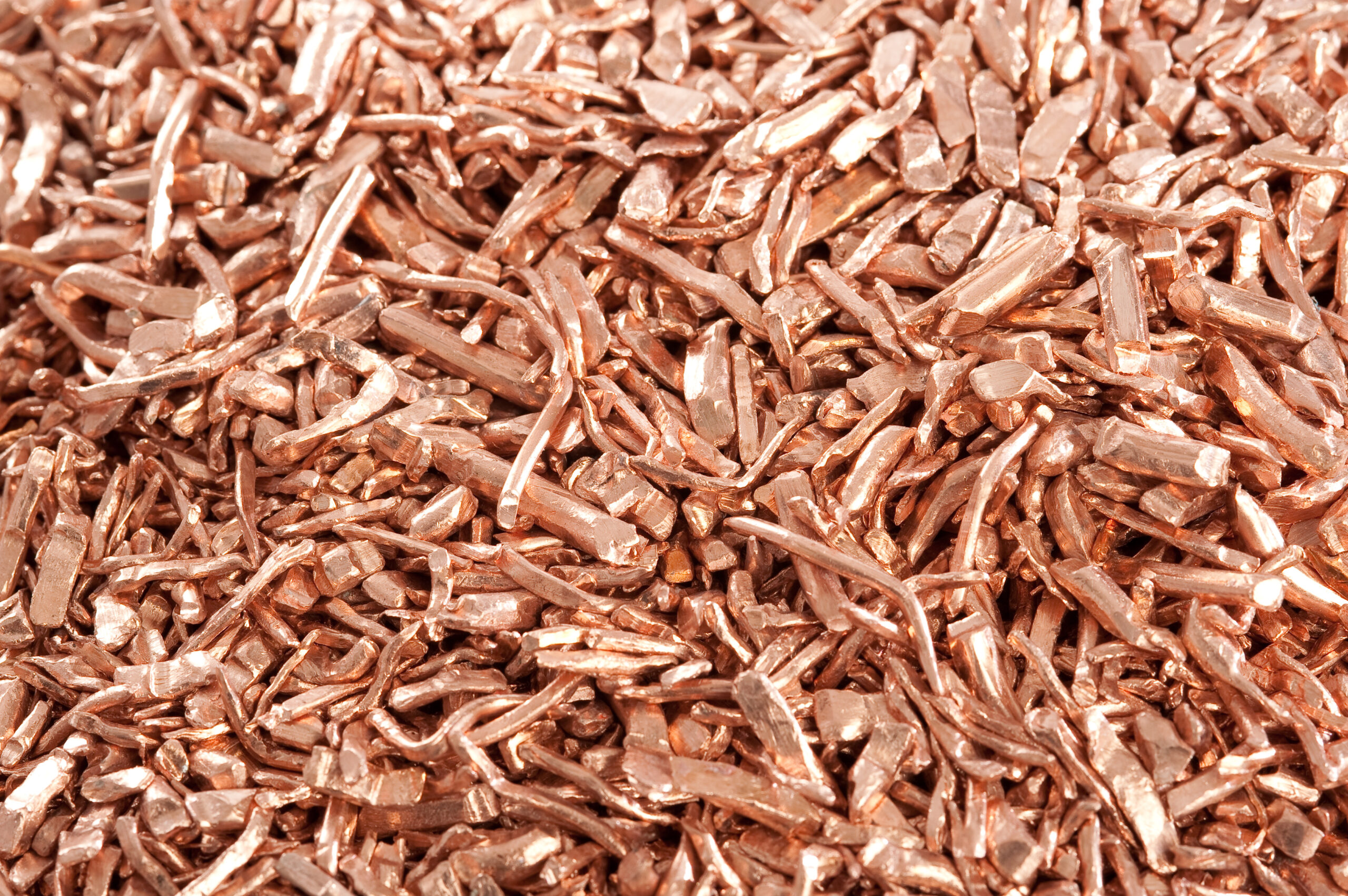 AdobeStock 20709584 scaled