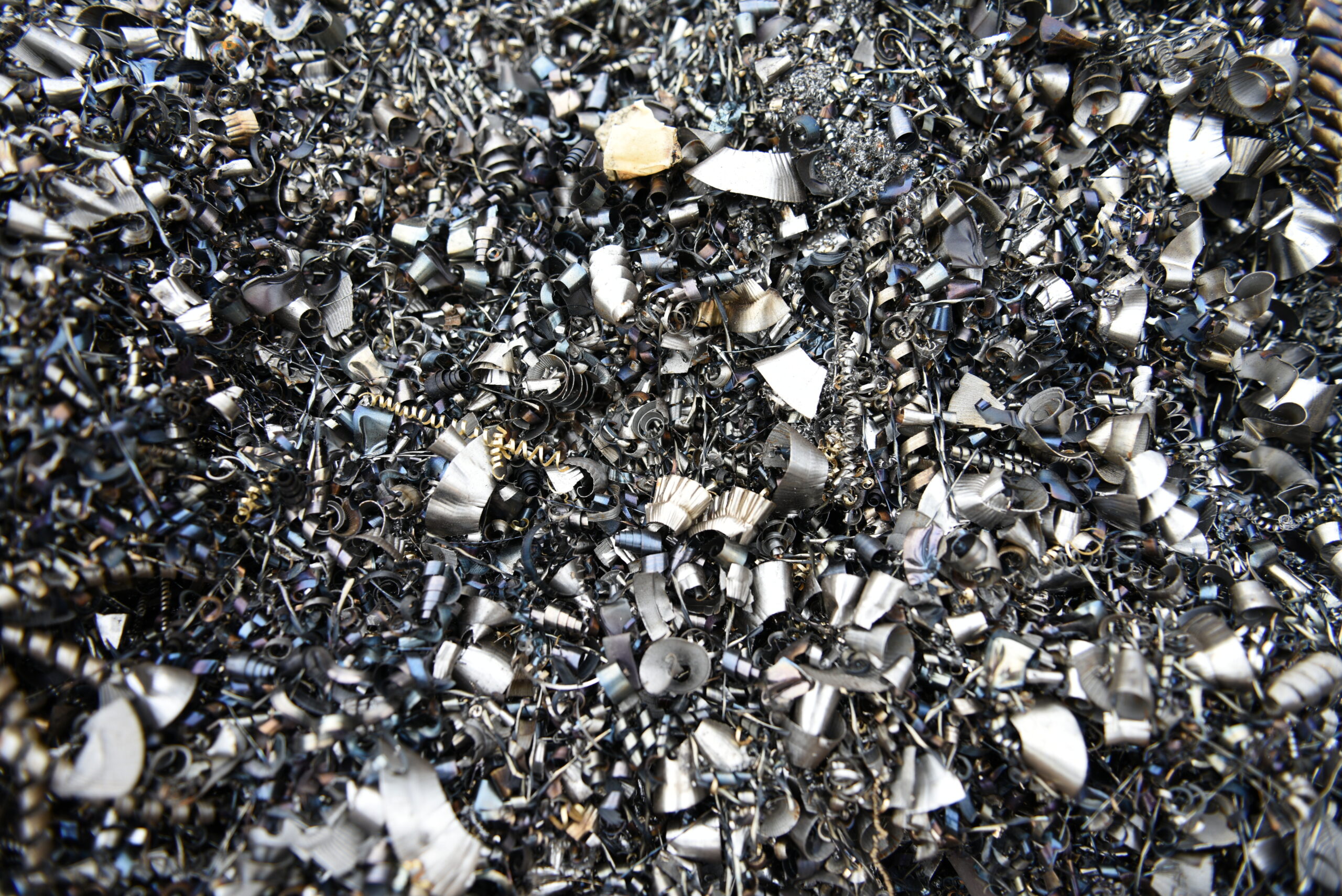 AdobeStock 245561635 scaled